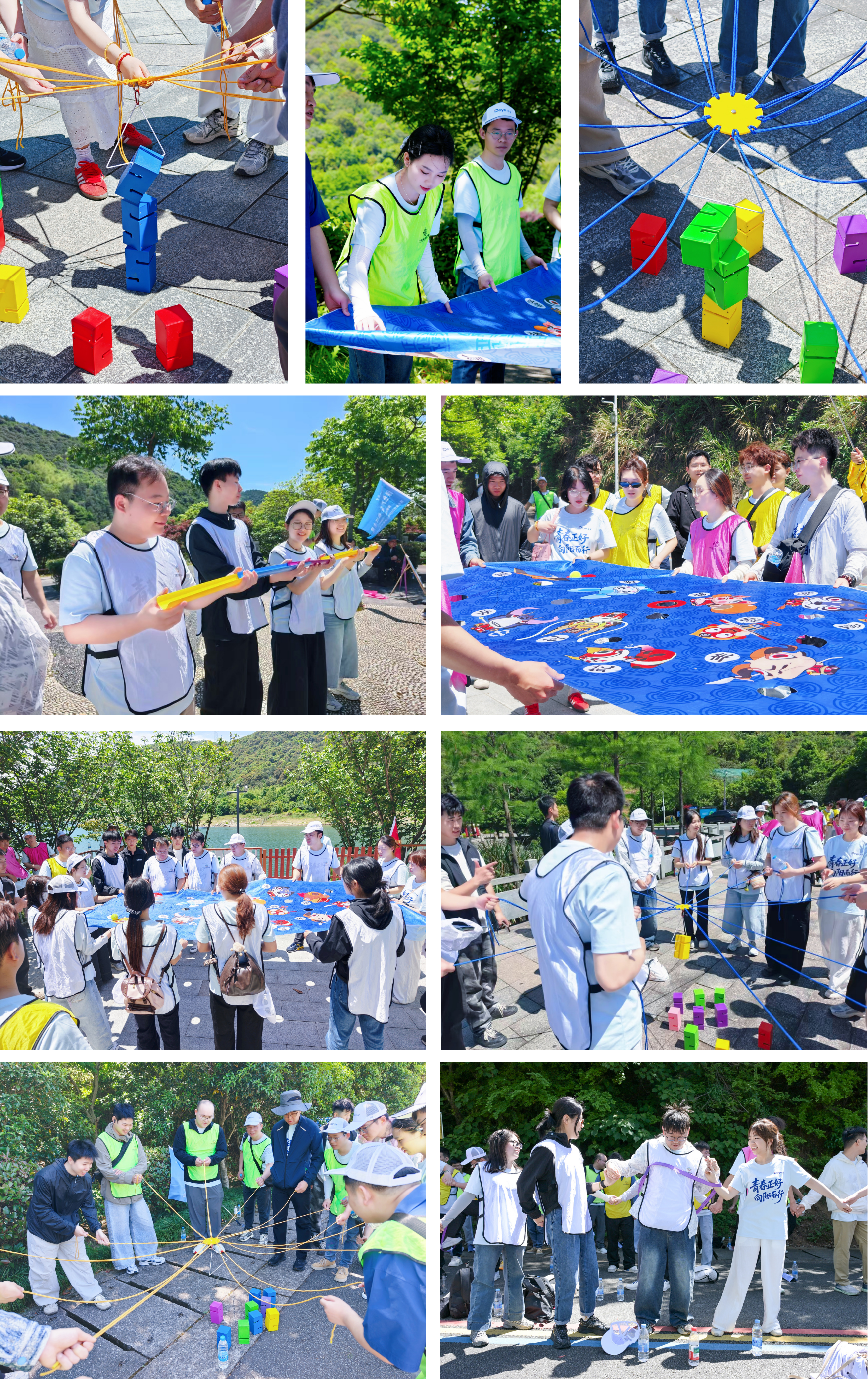 1778641405283595GGg3.png 新闻配图(8).png
